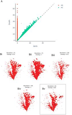 Topological Data Analysis Highlights Novel Geographical Signatures of the Human Gut Microbiome
